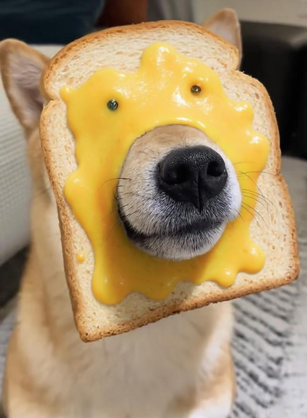 Cheese Toast